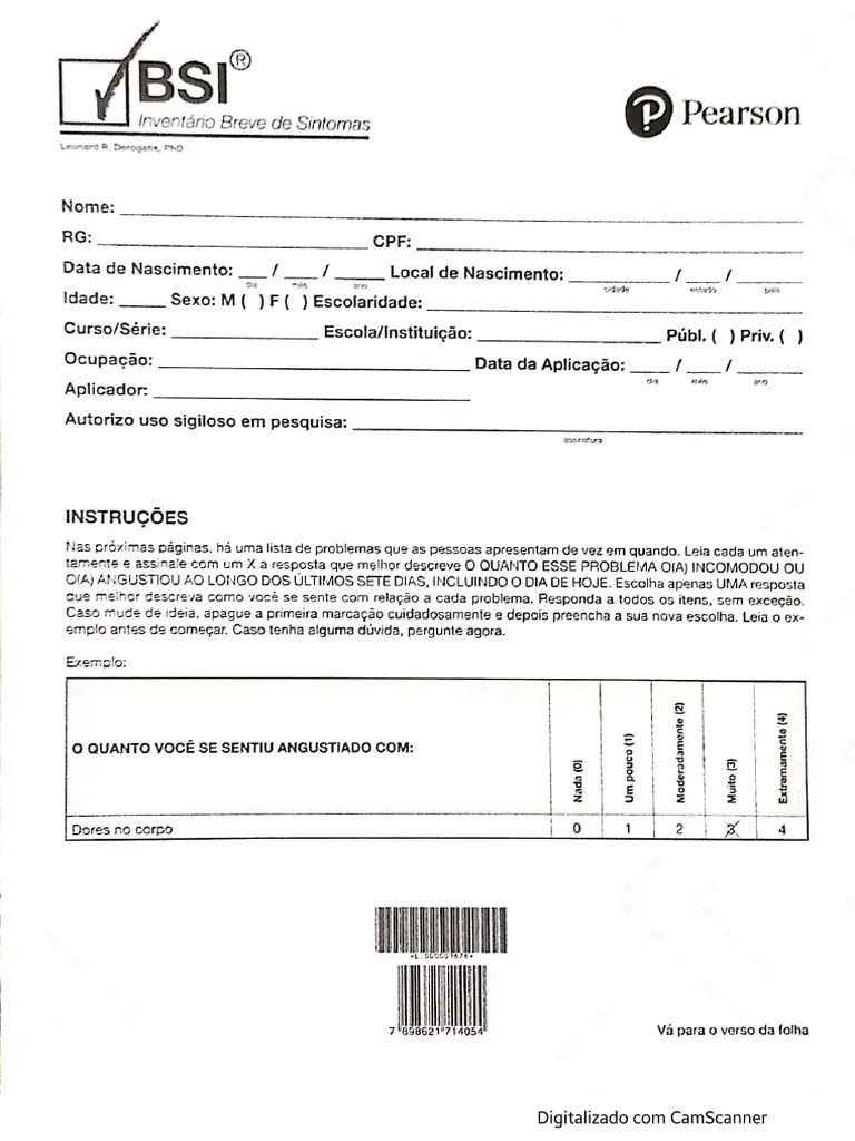 Bsi Pdf