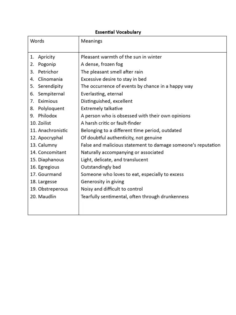 Essential Vocabulary | PDF