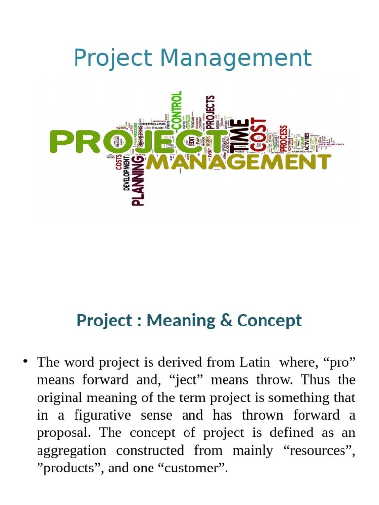 PROJECT MANAGEMENT | PDF | Project Management | Goal