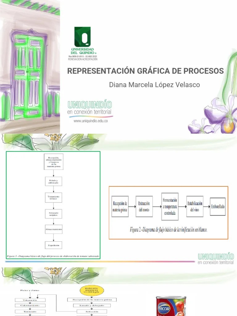 Representación Gráfica De Procesos 23-09-2024 | PDF