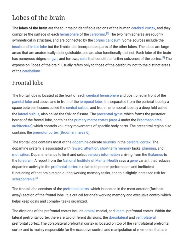 Lobes Of The Brain Pdf Insular Cortex Cerebral Cortex