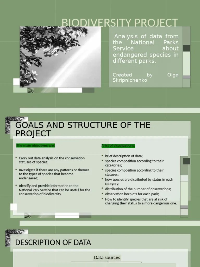 Biodiversity Project | PDF | Biology