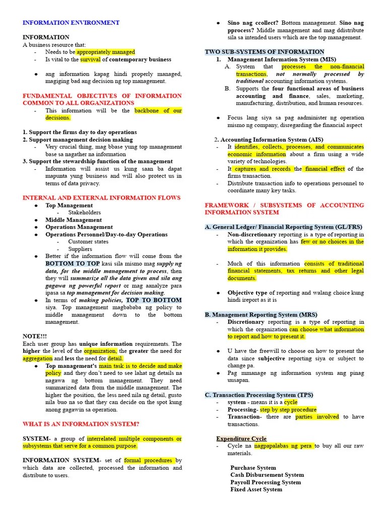 AIS 101 | PDF | Audit | Software As A Service