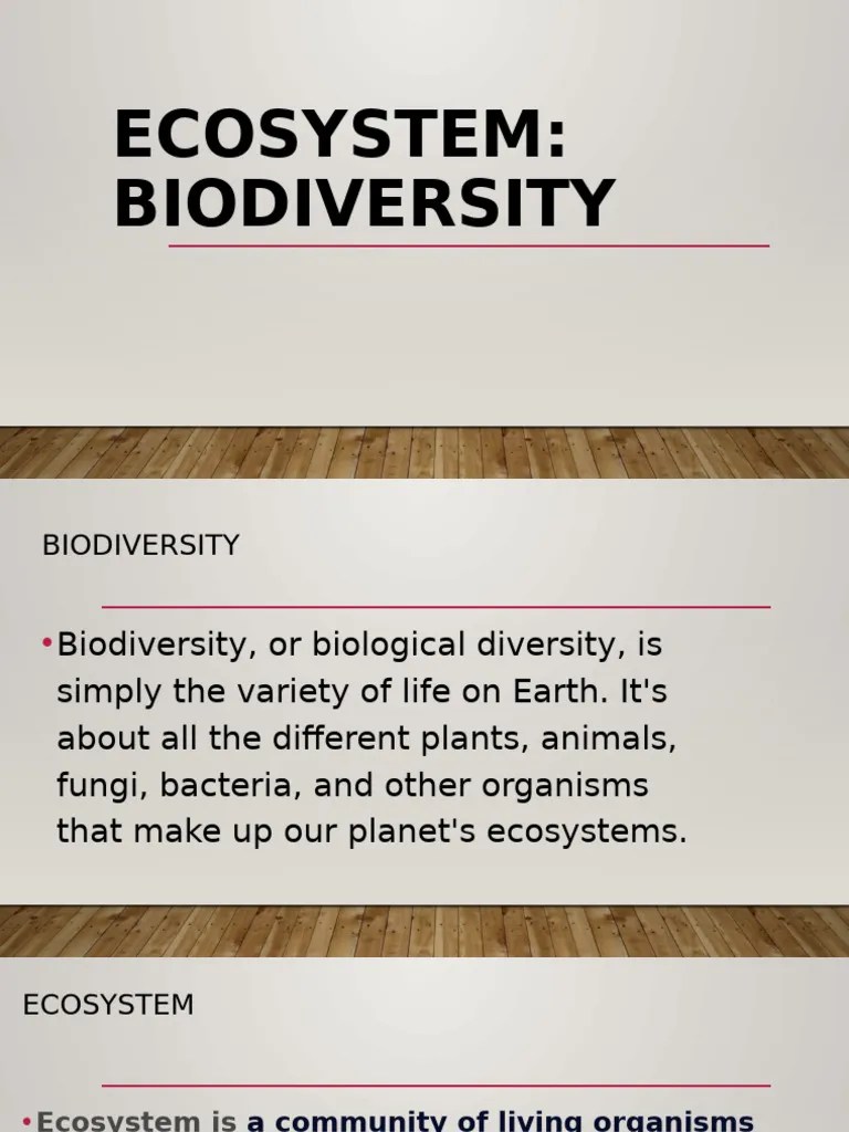 Ecosystem | PDF | Ecosystem | Biodiversity