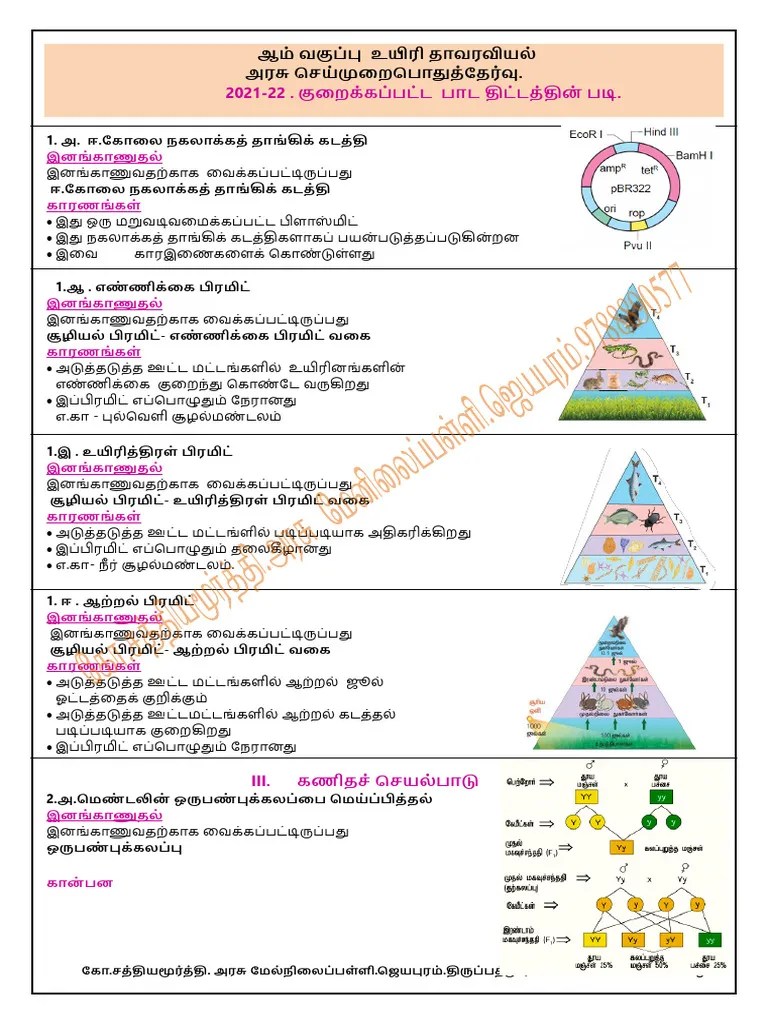 12th Bio Botany - Practical Study Material 2021-22 - Tamil Medium PDF ...