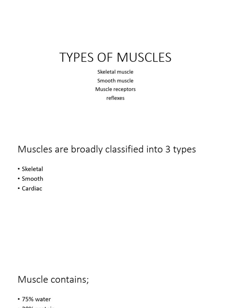 Physiology Of Muscles Lecture | PDF | Muscle Contraction | Action Potential