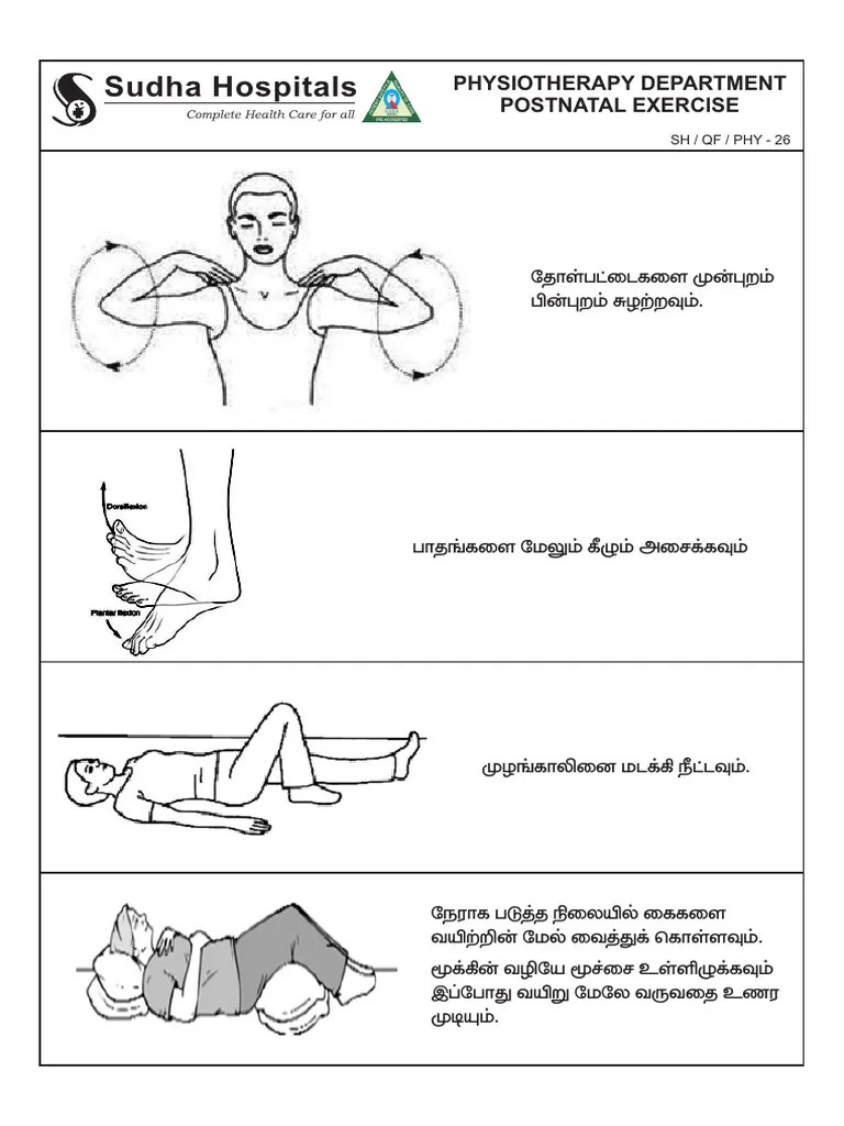 Postnatal Exercise Chart Guide Pdf