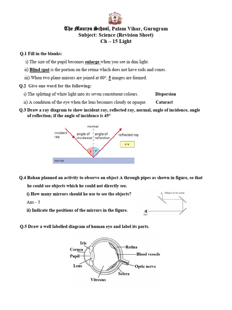Grade 8 Science Revision Sheet Pdf Mars Cell Biology