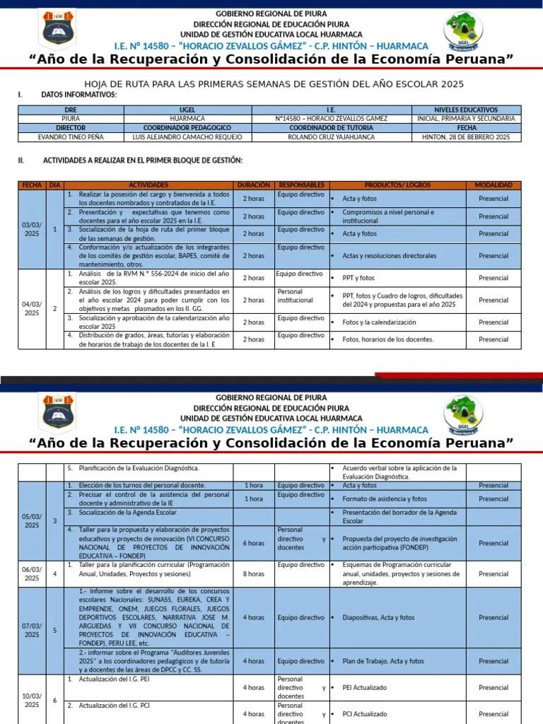 Hoja De Ruta 2025 | PDF | Aprendizaje