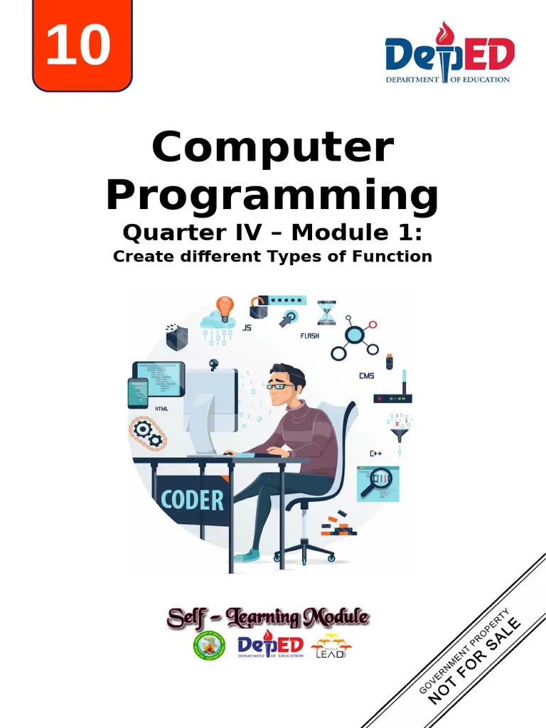 STE Computer Programming Q4 MODULE 1 2 | PDF | Parameter (Computer ...