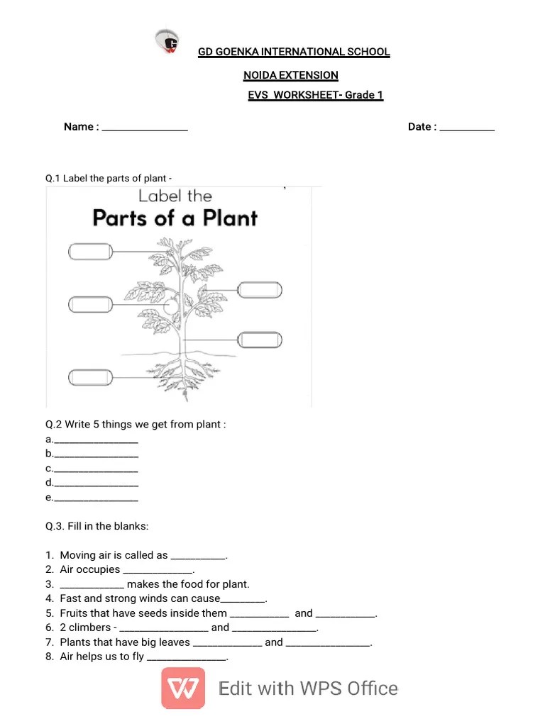 Grade 1 Evs Worksheet 1 Pdf