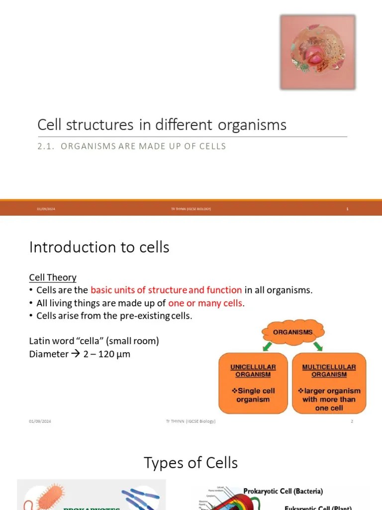 Biology CIE IGCSE Chapter 2 Cell Structures | PDF | Tissue (Biology) | Cell (Biology)