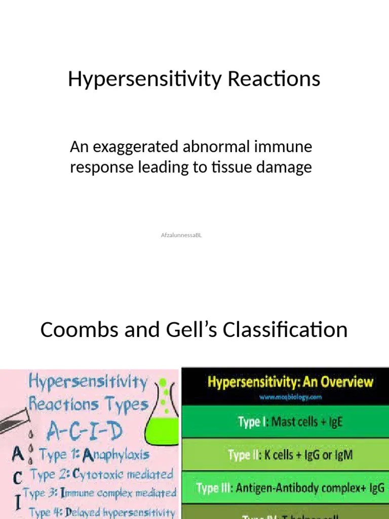 Vnd.openxmlformats Officedocument.presentationml.presentation&Rendition ...