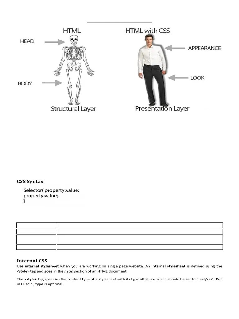 CSS Cascading Style Sheet | PDF | Html Element | Html