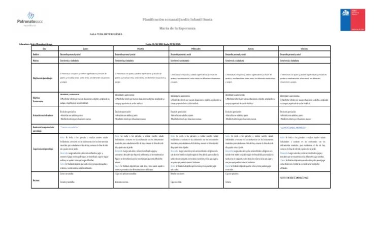 Planificacion Mayo | PDF | Educación De La Primera Infancia | Aprendizaje