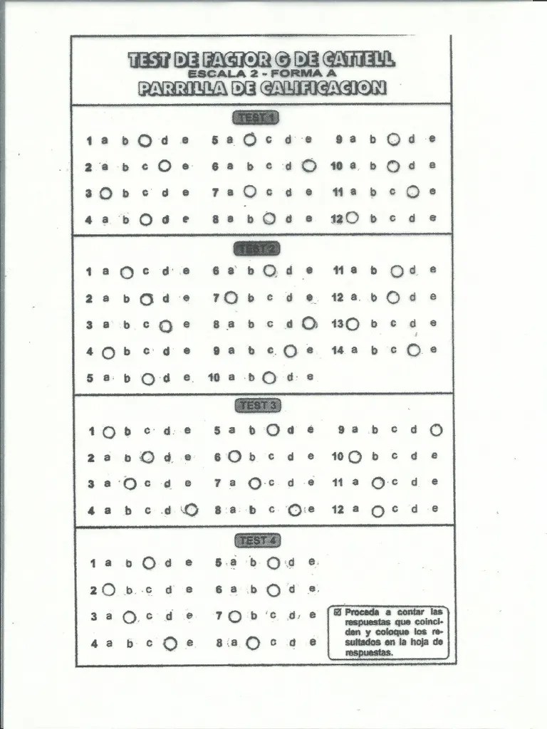 PLANTILLA CORRECCION | PDF