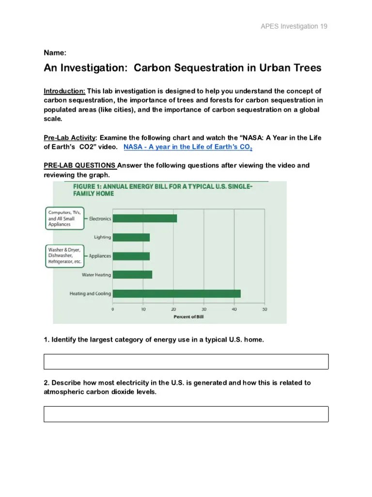An Investigation - Carbon Sequestration In Urban Trees | PDF | Carbon Sequestration | Carbon Dioxide