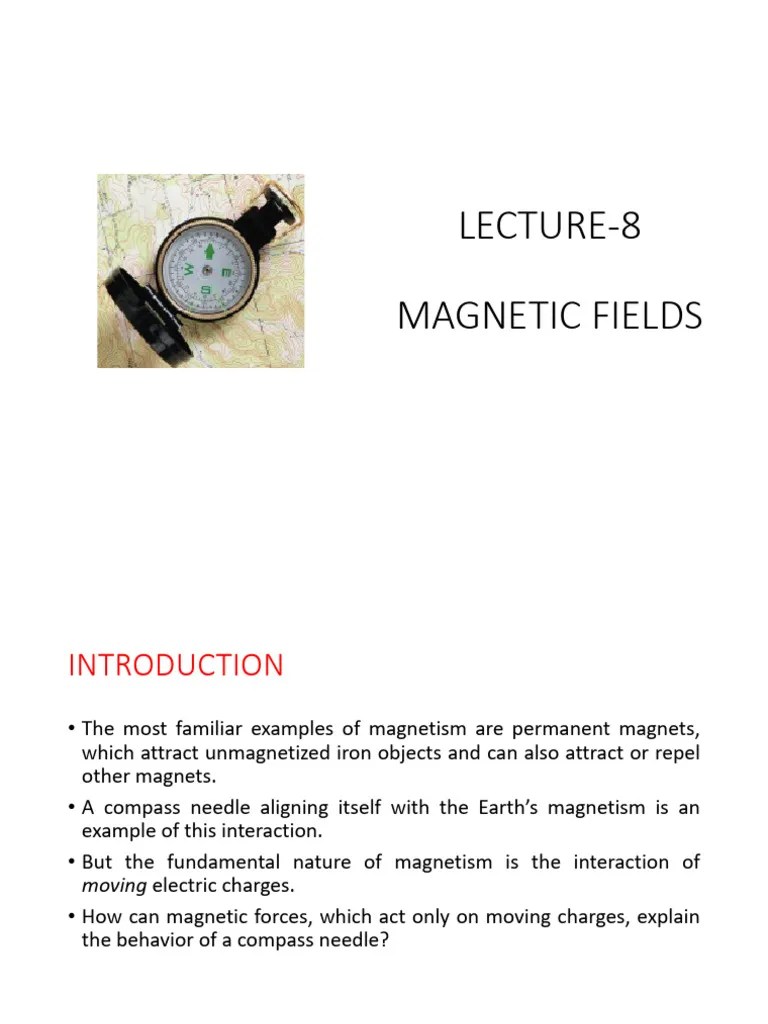 Lecture-8-MAGNETIC FIELDS | PDF | Magnetic Field | Magnetism