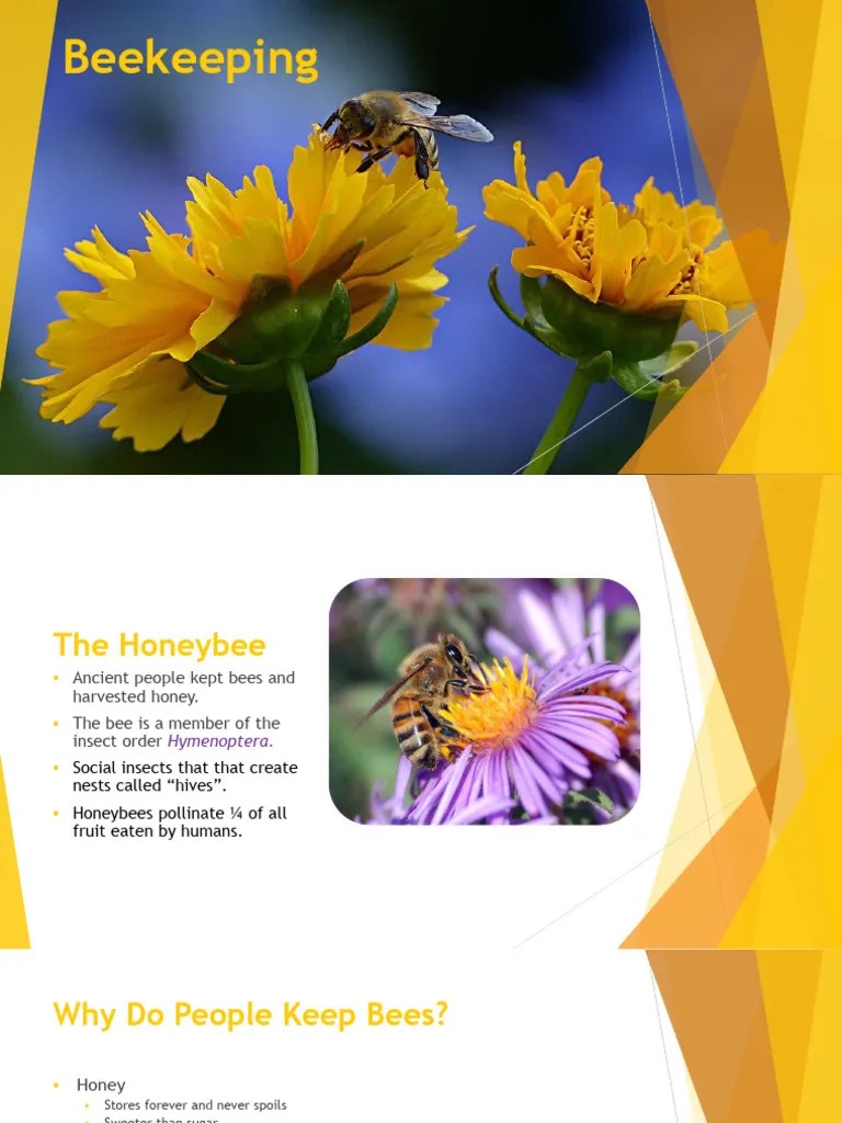 Beekeeping Pdf