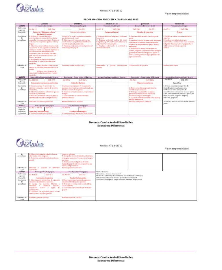 PLANIFICACION Mayo | PDF