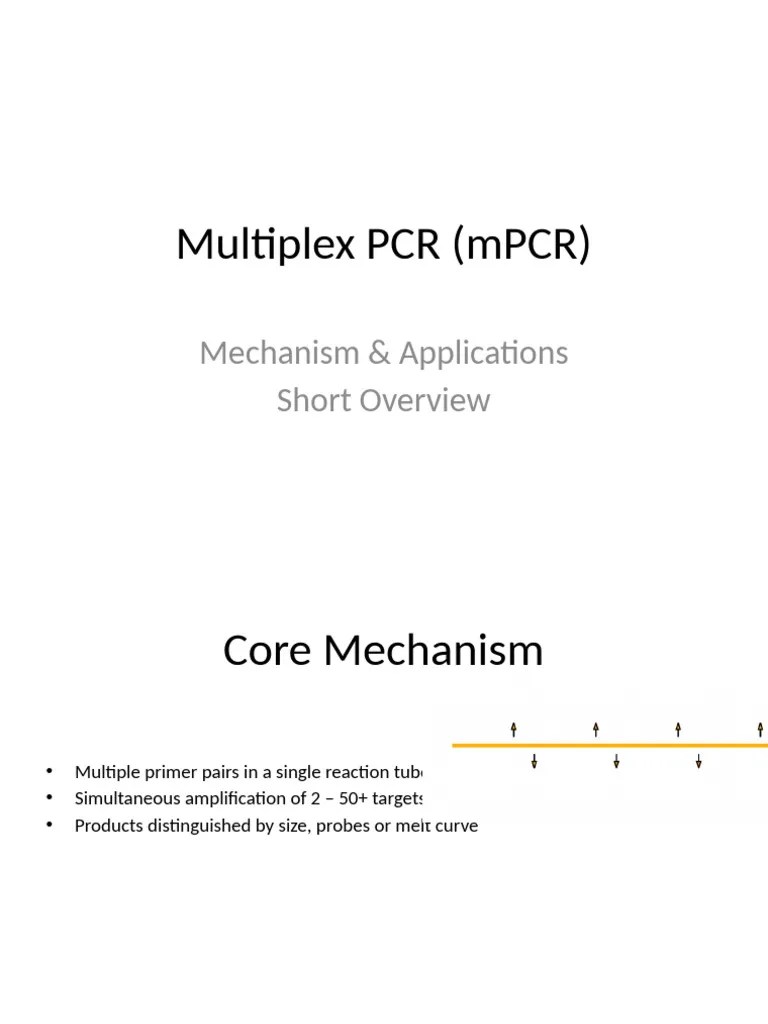 Multiplex PCR Short Overview | PDF