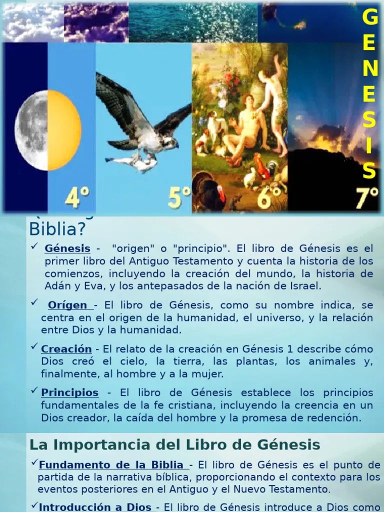 Estudio Del Libro De Genesis 1 Pdf Libro Del Génesis Abrahán