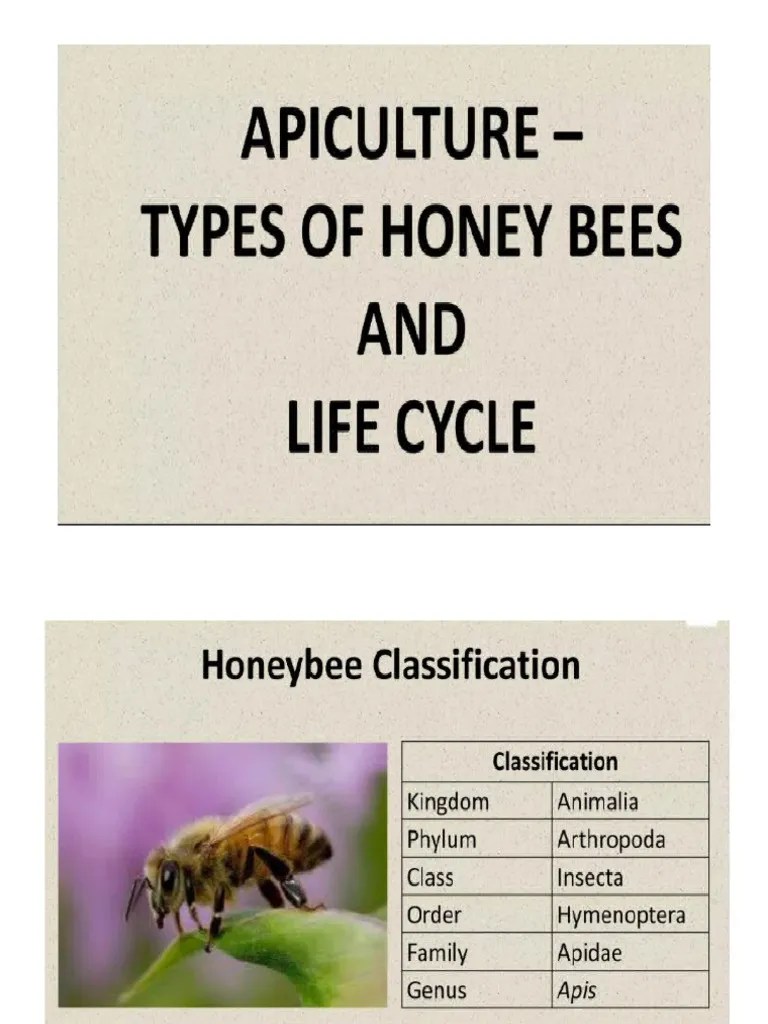 Apiculture Cs Pdf