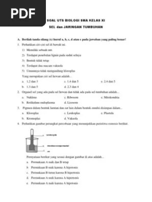 Play this game to review biology. Soal Uts Biologi Sma Kelas Xi Pdf