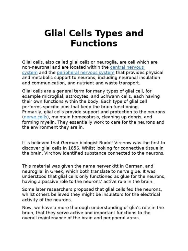 Glial Cells Types And Functions | PDF | Neuron | Axon