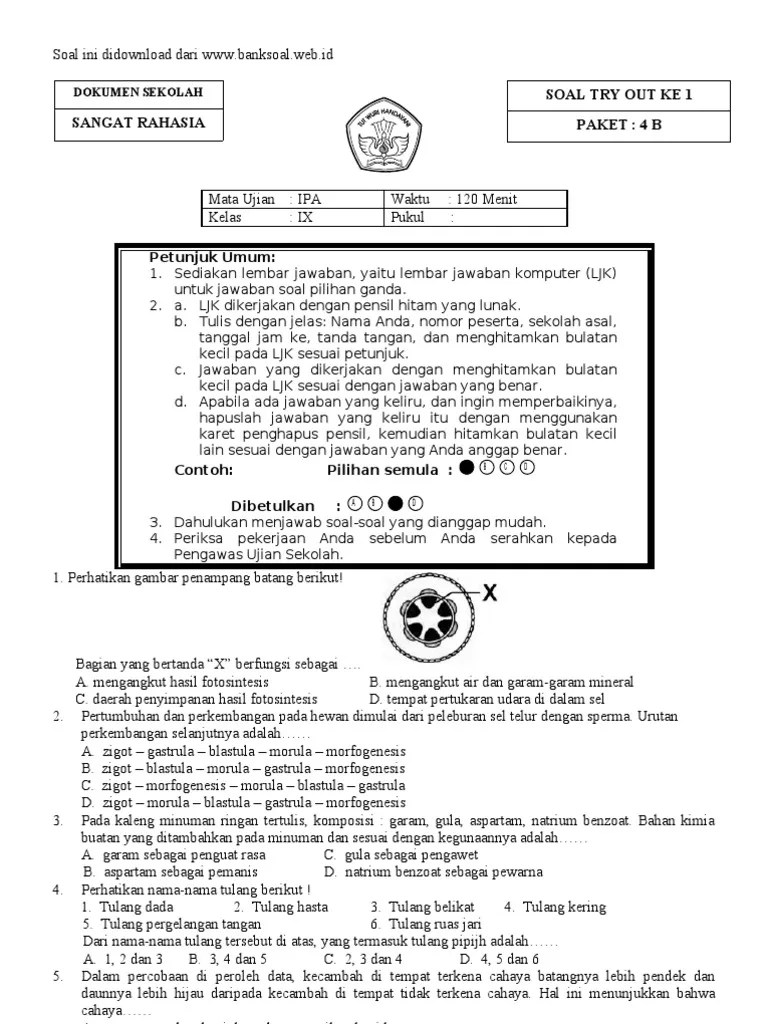 Tes masuk masuk sekolah unggulan menggunakan sistem nilai sebagai berikut: Soal Try Out Ujian Nasional Smp Ipa Paket B Pdf