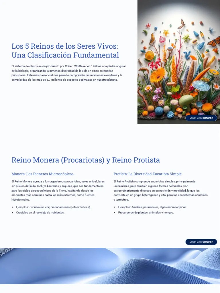 Los 5 Reinos De Los Seres Vivos Una Clasificacion Fundamental | PDF | Plantas | Hongo