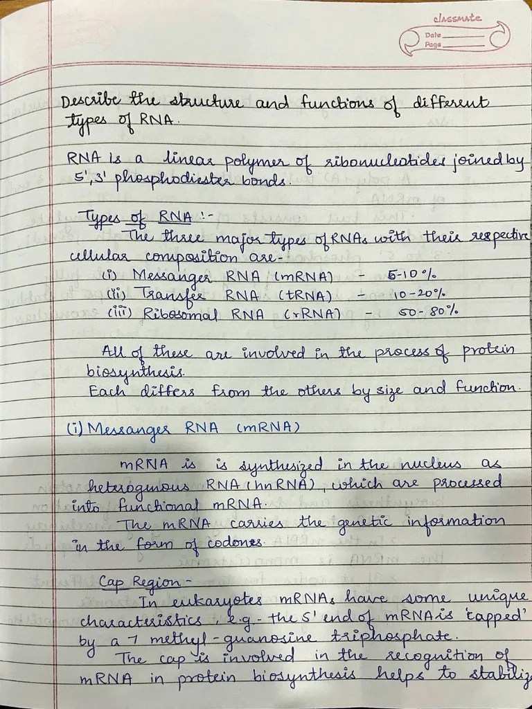 Library Assignment 250702 103824 Pdf