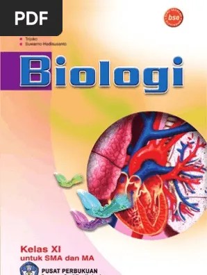 Jaringan ikat dapat berupa jaringan yang padar seperti pada tulang atau dapat. Kelas11 Biologi Purnomo Pdf