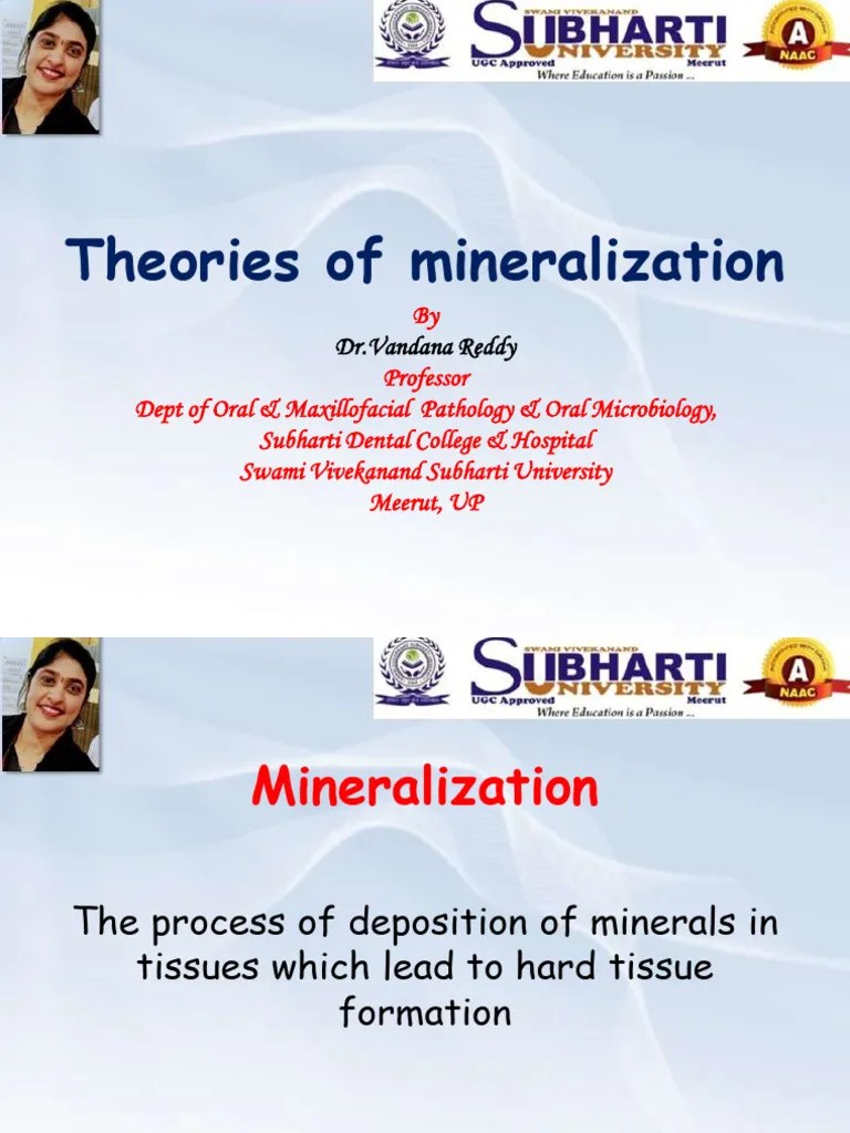 Theories of mineralization explained