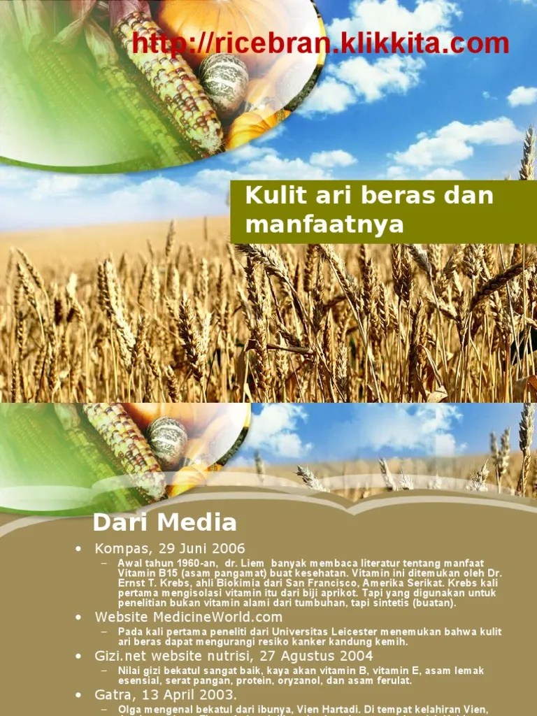 Kulit Ari Beras Dan Manfaatnya | PDF