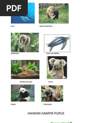 Kini harimau malaya kian pupus akibat pemburuan tidak terkawal. Haiwan Hampir Pupus Pdf