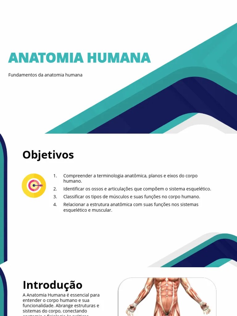 Aula Anatomia Humana Pdf Músculo Anatomia