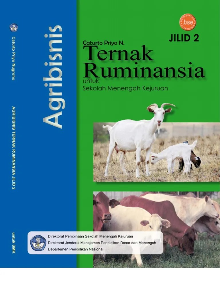Kelas XI SMK Agribisnis Teknik Ruminansia Caturto | PDF