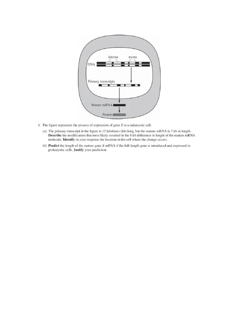 Frq Friday Pdf
