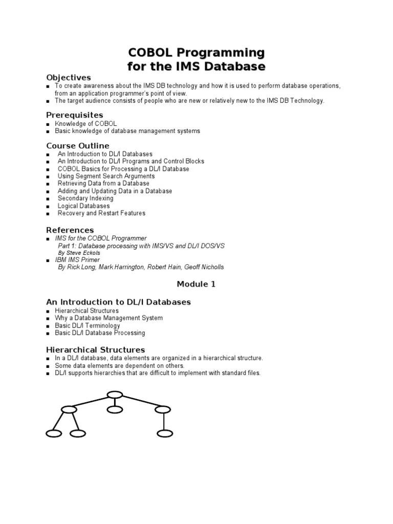 COBOL Programming For IMS | PDF | Databases | Computer Engineering