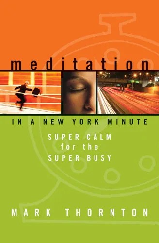 Meditation In A New York Minute By Mark Thornton Book Read Online