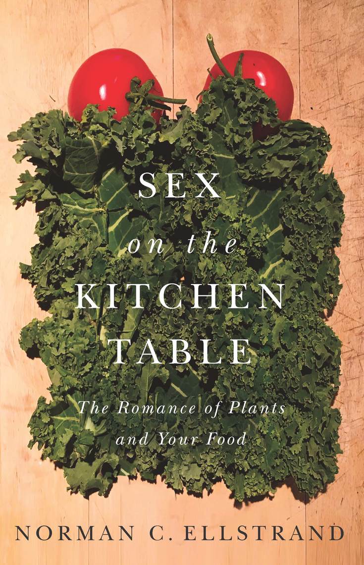 At the kitchen table with Melissa Cynova of Kitchen Table ...