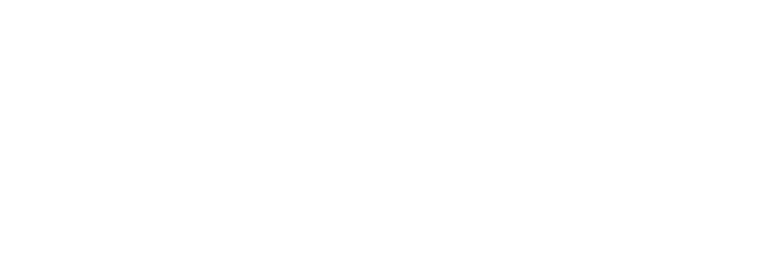System X logo