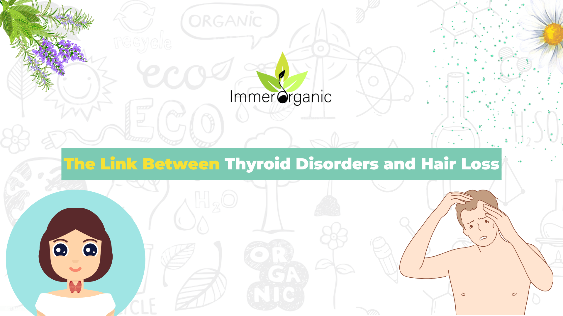 The Link Between Thyroid Disorders and Hair Loss - Immer organic