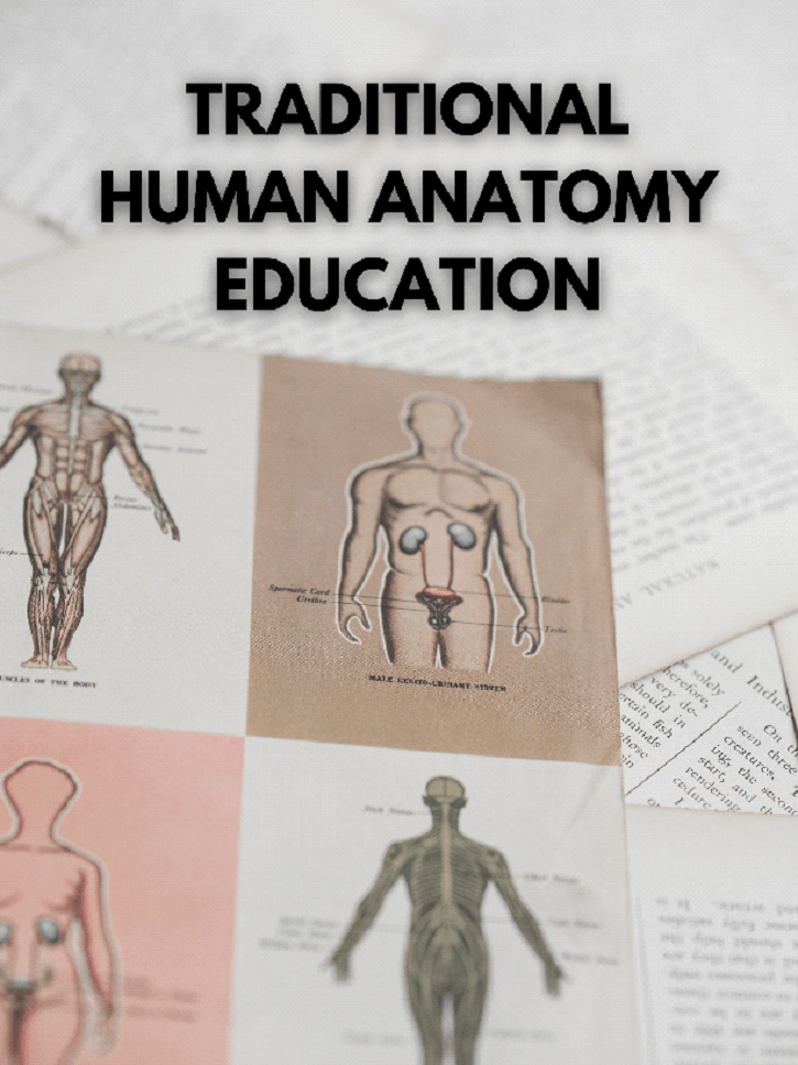 Virtual anatomy table: a better tool to learn human body