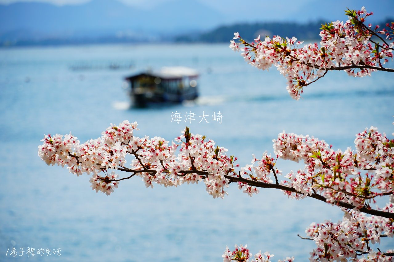 追櫻花尾巴，2018 大阪衝琵琶湖海津大崎賞櫻之旅