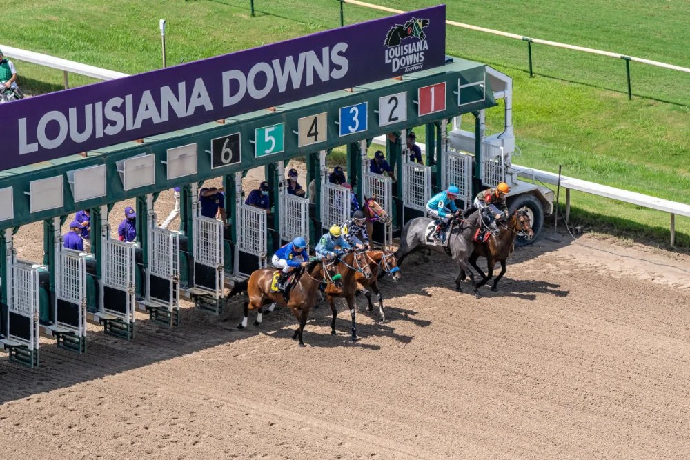 27 best & fun things to do in bossier city