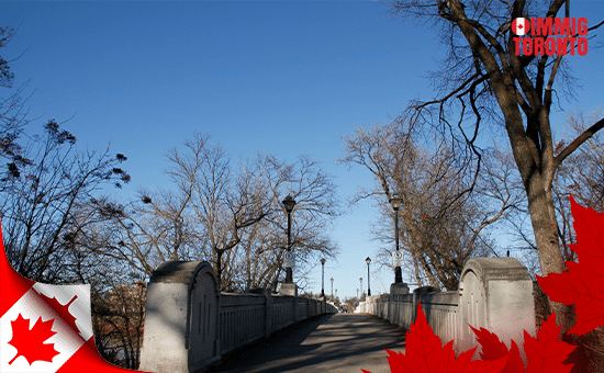 The latest PNP draw invites 349 immigration candidates The latest PNP draw invites 349 immigration candidates