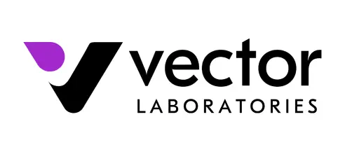 vector-logo
