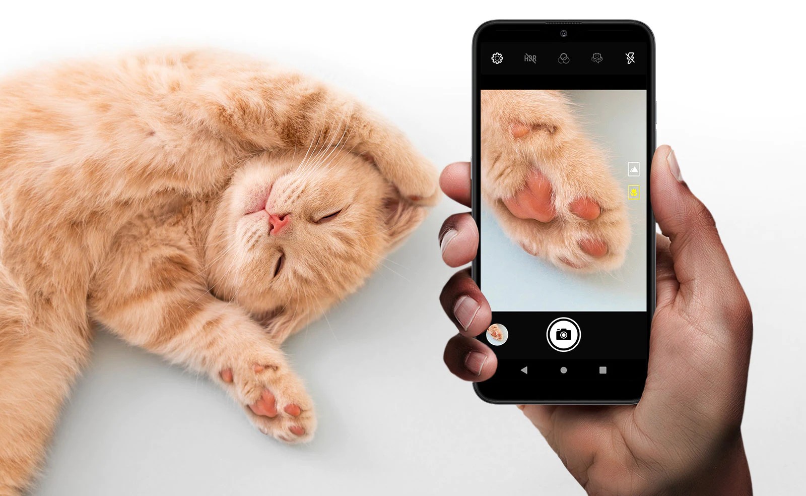 LG K22: Básico e barato, vale a pena? Conheça o aparelho da LG